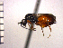  ( - DFR-T6)  @13 [ ] Unspecified (default): All Rights Reserved  Unspecified Unspecified