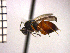  ( - DFR-T8)  @13 [ ] Unspecified (default): All Rights Reserved  Unspecified Unspecified