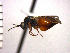  ( - DFR-T9)  @13 [ ] Unspecified (default): All Rights Reserved  Unspecified Unspecified