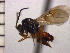  ( - DP-10)  @13 [ ] Unspecified (default): All Rights Reserved  Unspecified Unspecified