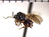  ( - DP-23)  @14 [ ] Unspecified (default): All Rights Reserved  Unspecified Unspecified