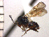  ( - DP-31)  @13 [ ] Unspecified (default): All Rights Reserved  Unspecified Unspecified