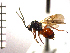  ( - DP-39)  @14 [ ] Unspecified (default): All Rights Reserved  Unspecified Unspecified