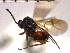  ( - DP-42)  @13 [ ] Unspecified (default): All Rights Reserved  Unspecified Unspecified