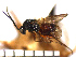  ( - DP-43)  @13 [ ] Unspecified (default): All Rights Reserved  Unspecified Unspecified