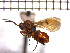  ( - DSD-ON2)  @13 [ ] Unspecified (default): All Rights Reserved  Unspecified Unspecified