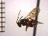  ( - DSW-AB10)  @13 [ ] Unspecified (default): All Rights Reserved  Unspecified Unspecified