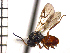  ( - DV-10)  @13 [ ] Unspecified (default): All Rights Reserved  Unspecified Unspecified