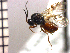  ( - DV-3)  @13 [ ] Unspecified (default): All Rights Reserved  Unspecified Unspecified
