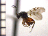  ( - DV-5)  @13 [ ] Unspecified (default): All Rights Reserved  Unspecified Unspecified