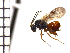  ( - DV-7)  @13 [ ] Unspecified (default): All Rights Reserved  Unspecified Unspecified
