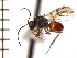  ( - DV-8)  @13 [ ] Unspecified (default): All Rights Reserved  Unspecified Unspecified