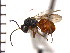  ( - DV-9)  @13 [ ] Unspecified (default): All Rights Reserved  Unspecified Unspecified