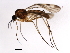  ( - DIPNO-0031)  @13 [ ] CreativeCommons - Attribution (2009) Unspecified Centre for Biodiversity Genomics