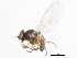  ( - 10BBDIP-1457)  @13 [ ] CreativeCommons - Attribution (2010) CBG Photography Group Centre for Biodiversity Genomics