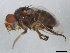  ( - 10BBDIP-1187)  @12 [ ] CreativeCommons - Attribution (2010) CBG Photography Group Centre for Biodiversity Genomics