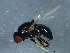  ( - 10BBDIP-1272)  @13 [ ] CreativeCommons - Attribution (2010) CBG Photography Group Centre for Biodiversity Genomics