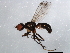  ( - 10BBDIP-1419)  @13 [ ] CreativeCommons - Attribution (2010) CBG Photography Group Centre for Biodiversity Genomics