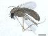  ( - 10BBDIP-1535)  @12 [ ] CreativeCommons - Attribution (2010) CBG Photography Group Centre for Biodiversity Genomics