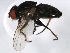  ( - 10BBDIP-1687)  @12 [ ] CreativeCommons - Attribution (2010) CBG Photography Group Centre for Biodiversity Genomics