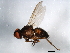  ( - 10BBDIP-1698)  @12 [ ] CreativeCommons - Attribution (2010) CBG Photography Group Centre for Biodiversity Genomics
