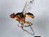  ( - 10BBDIP-1819)  @13 [ ] CreativeCommons - Attribution (2010) CBG Photography Group Centre for Biodiversity Genomics