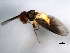  ( - 10BBDIP-1840)  @12 [ ] CreativeCommons - Attribution (2010) CBG Photography Group Centre for Biodiversity Genomics