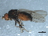  ( - 10BBDIP-1941)  @13 [ ] CreativeCommons - Attribution (2010) CBG Photography Group Centre for Biodiversity Genomics