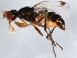  ( - 10BBDIP-2028)  @13 [ ] CreativeCommons - Attribution (2010) CBG Photography Group Centre for Biodiversity Genomics
