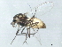  ( - 10BBDIP-2089)  @13 [ ] CreativeCommons - Attribution (2010) CBG Photography Group Centre for Biodiversity Genomics