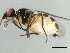  ( - 10BBDIP-2162)  @13 [ ] CreativeCommons - Attribution (2010) CBG Photography Group Centre for Biodiversity Genomics