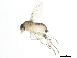  ( - 10BBDIP-2174)  @13 [ ] CreativeCommons - Attribution (2010) CBG Photography Group Centre for Biodiversity Genomics