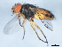  ( - 10BBDIP-2245)  @14 [ ] CreativeCommons - Attribution (2010) CBG Photography Group Centre for Biodiversity Genomics
