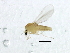 ( - 10BBDIP-2279)  @12 [ ] CreativeCommons - Attribution (2010) CBG Photography Group Centre for Biodiversity Genomics