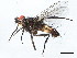  ( - 10BBDIP-0613)  @13 [ ] CreativeCommons - Attribution (2010) CBG Photography Group Centre for Biodiversity Genomics