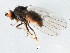  ( - 10BBDIP-0674)  @13 [ ] CreativeCommons - Attribution (2010) CBG Photography Group Centre for Biodiversity Genomics