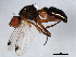  ( - 10BBDIP-0798)  @13 [ ] CreativeCommons - Attribution (2010) CBG Photography Group Centre for Biodiversity Genomics