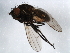  ( - 10BBDIP-0841)  @12 [ ] CreativeCommons - Attribution (2010) CBG Photography Group Centre for Biodiversity Genomics