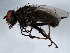  ( - 10BBDIP-0845)  @13 [ ] CreativeCommons - Attribution (2010) CBG Photography Group Centre for Biodiversity Genomics