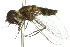  ( - 10BBDIP-0179)  @13 [ ] CreativeCommons - Attribution (2010) CBG Photography Group Centre for Biodiversity Genomics