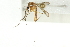  ( - 10BBDIP-0251)  @13 [ ] CreativeCommons - Attribution (2010) CBG Photography Group Centre for Biodiversity Genomics