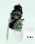  ( - gvc10014-1L)  @12 [ ] Copyright (2004) Unspecified Unspecified