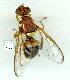  ( - gvc10304-1L)  @12 [ ] Copyright (2004) Unspecified Unspecified
