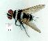  ( - gvc10330-1L)  @12 [ ] Copyright (2004) Unspecified Unspecified