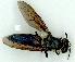  ( - gvc10384-1L)  @13 [ ] Copyright (2004) Unspecified Unspecified