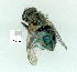 ( - gvc10809-1L)  @12 [ ] Copyright (2004) Unspecified Unspecified