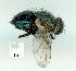  ( - gvc10811-1L)  @12 [ ] Copyright (2004) Unspecified Unspecified