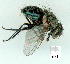 ( - gvc10812-1L)  @12 [ ] Copyright (2004) Unspecified Unspecified