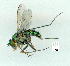  ( - gvc10814-1L)  @13 [ ] Copyright (2004) Unspecified Unspecified