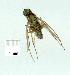  ( - gvc11069-1L)  @12 [ ] Copyright (2004) Unspecified Unspecified